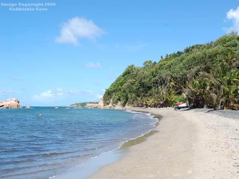 Calibishie Cove Hotel สิ่งอำนวยความสะดวก รูปภาพ